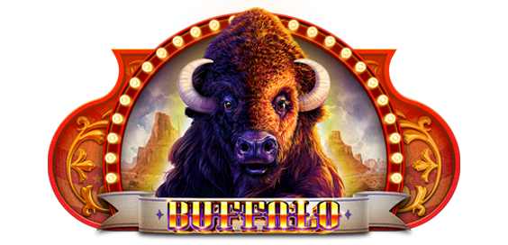 Jackpot Carnival Buffalo