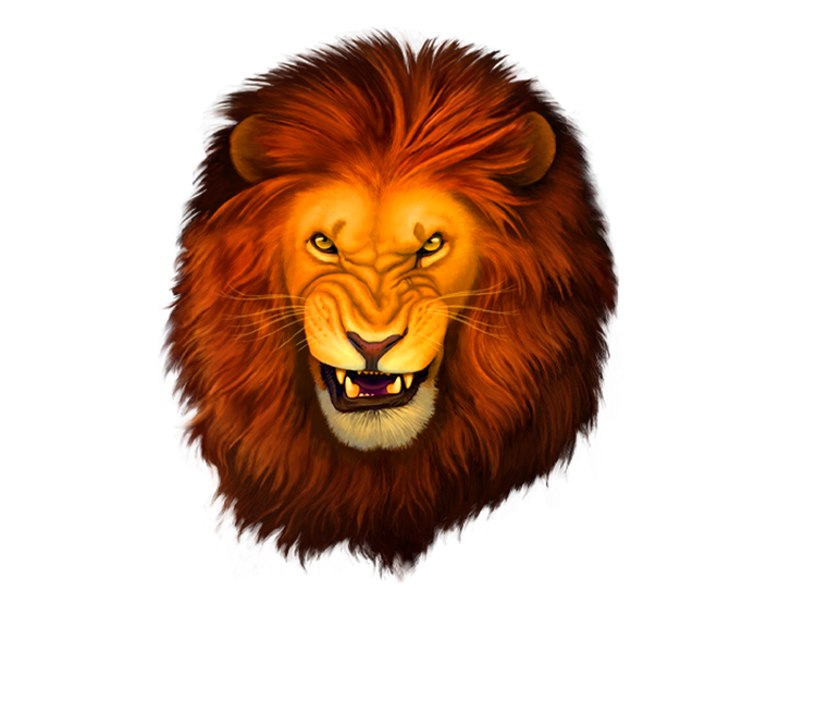 Savanna Lion